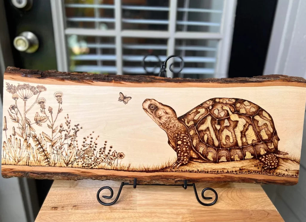 Box turtle wood burning i made v0 aq70pd38ticb1