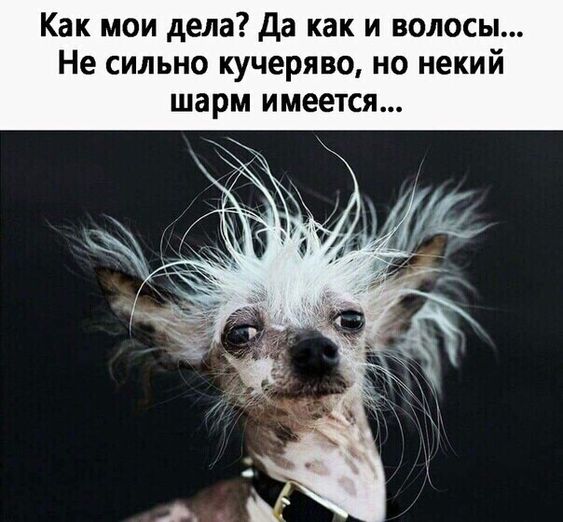 Пришла пора зарядиться позитивом! Подборка зажигательного юмора Пришла пора зарядиться позитивом! Подборка зажигательного юмора