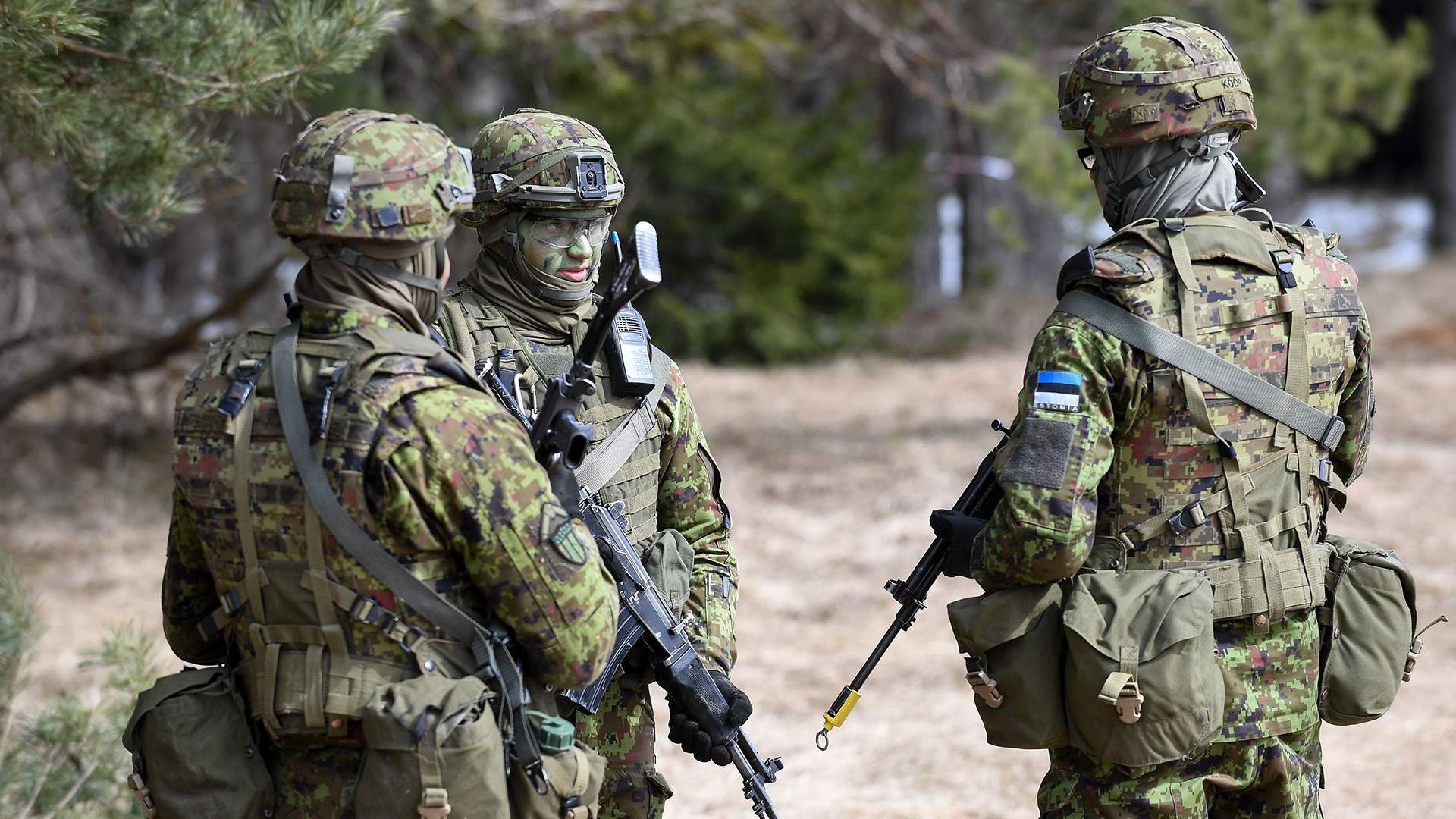 Эстония отправила в Польшу военных инструкторов