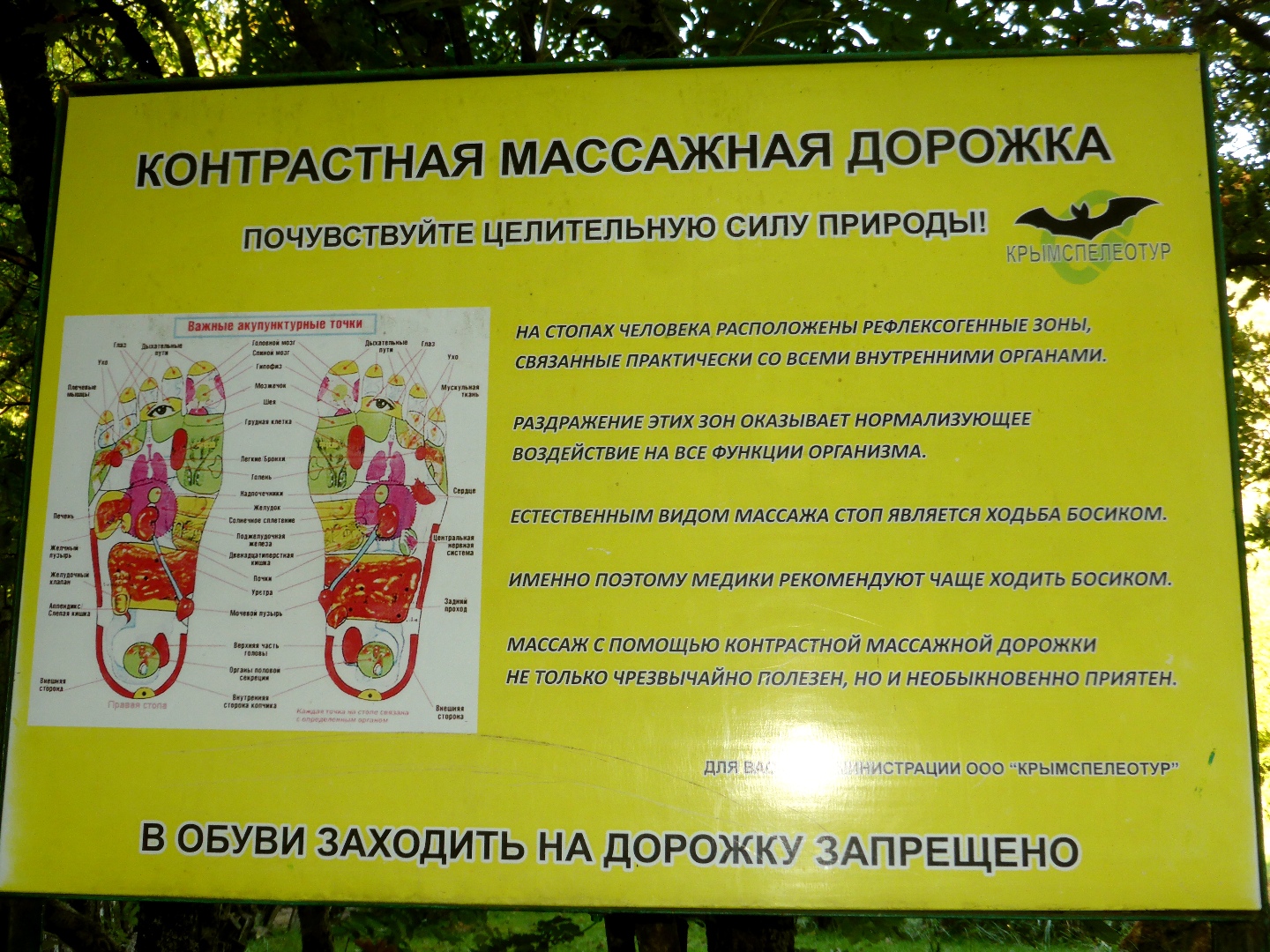 Крым. Скельская пещера Крым. Скельская пещера