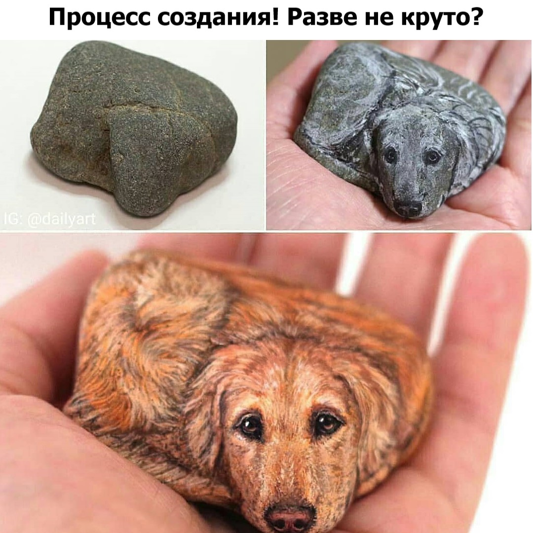 Зачетные и классные фотографии с надписями из сети Зачетные и классные фотографии с надписями из сети картинки с надписями,приколы,смешные картинки,смешные комментарии