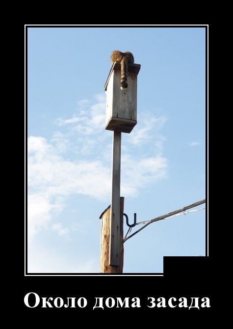 - Что означают пятна на Солнце? - Окна пора мыть!