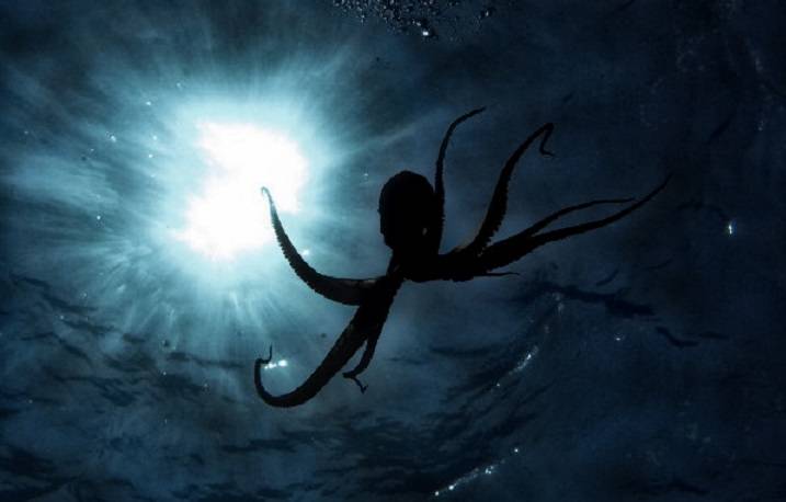 «Спрут» – комплекс активной противоторпедной защиты