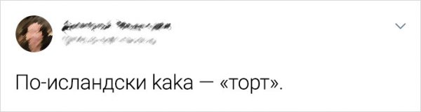 Подборка забавных твитов про иностранные языки