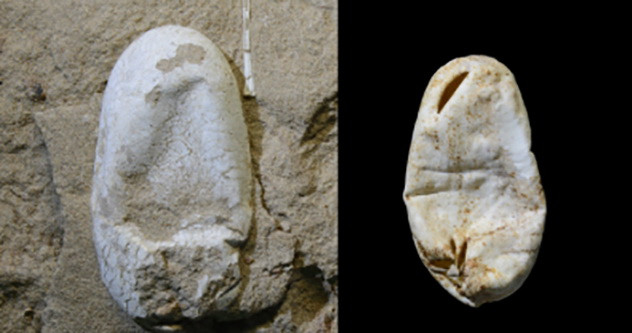 Факты, которые изменят ваше представление о динозаврах Факты, которые изменят ваше представление о динозаврах динозавры,факты