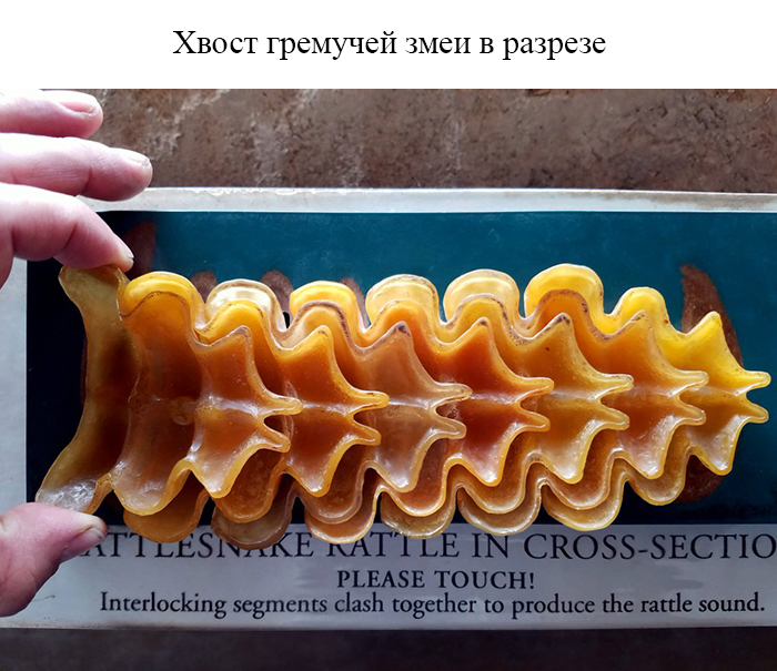 Вещи в разрезе... Вещи в разрезе... из жизни