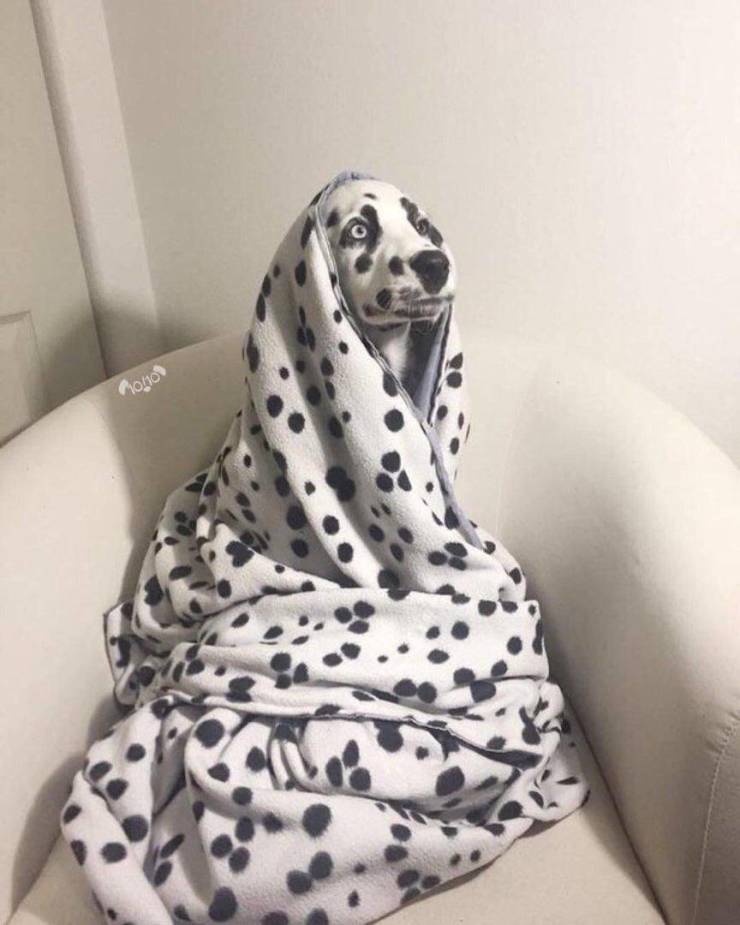 Подборка прикольных картинок Подборка прикольных картинок приколы,смешные картинки,юмор