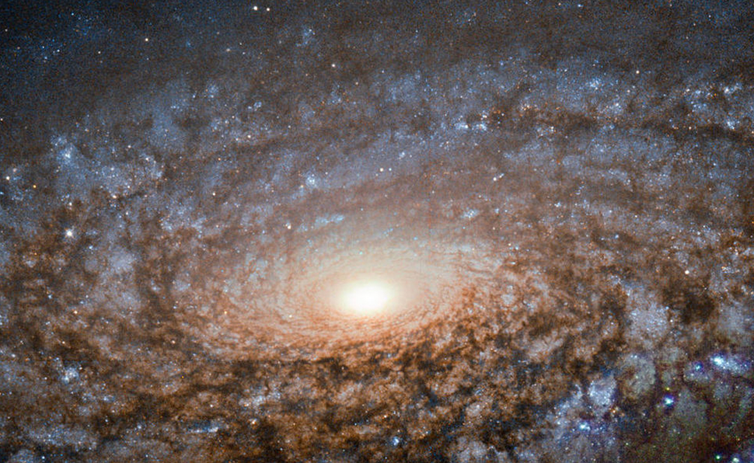 NGC 3521
Эта флокулянтая спиральная галактика выглядит на снимке пушистой из-за своих звезд, которые светят сквозь пыльные облака. Хотя снимок кажется невероятно отчетливым, на самом деле галактика находится на расстоянии в 40 миллионов световых лет от Земли.