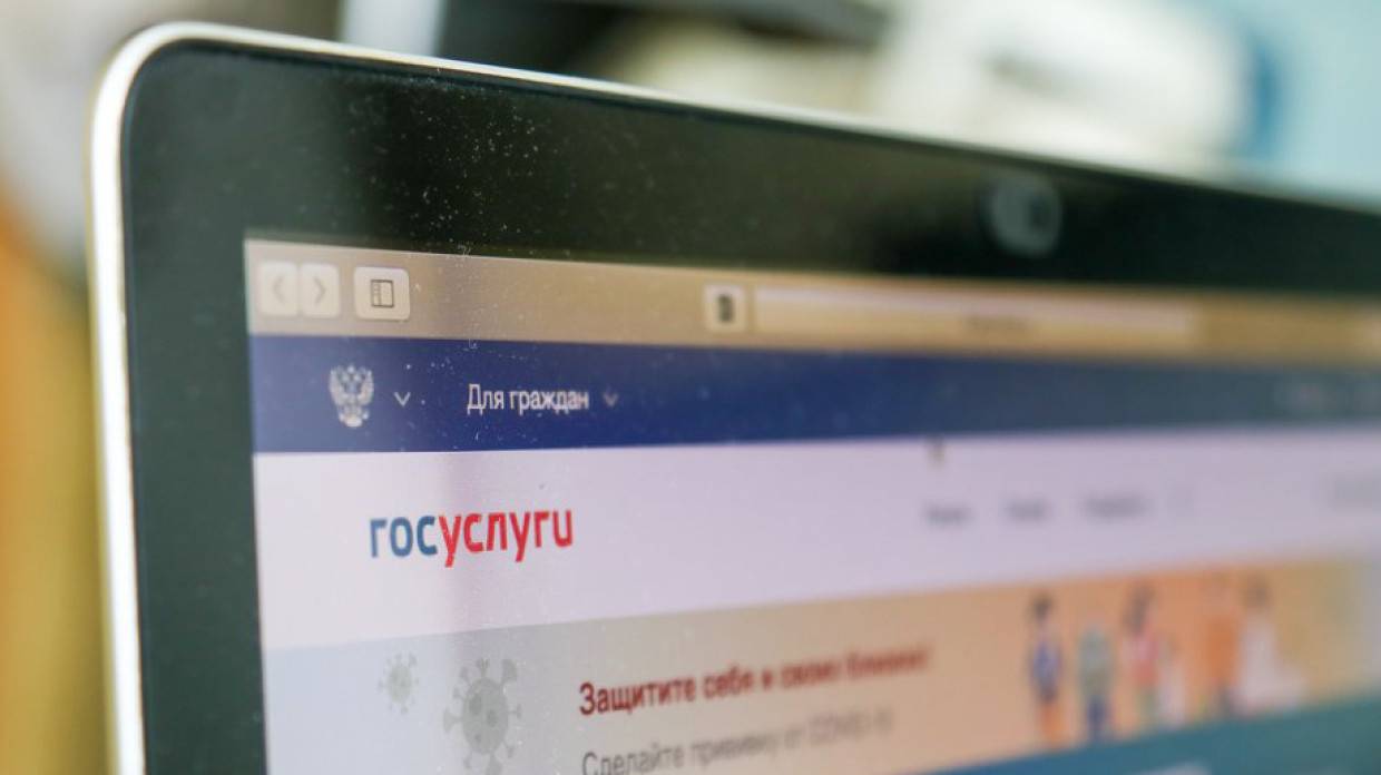 Российские власти намерены взять под контроль регистрацию доменов госорганов Общество