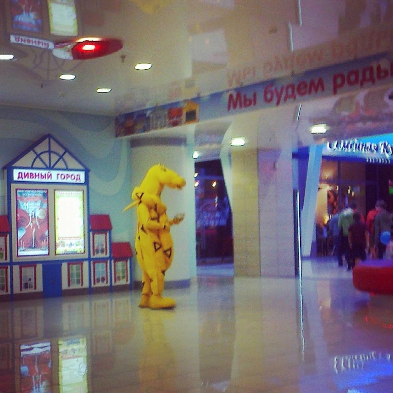 Из нор выходят звери прикол, так много вопросов, что здесь происходит?