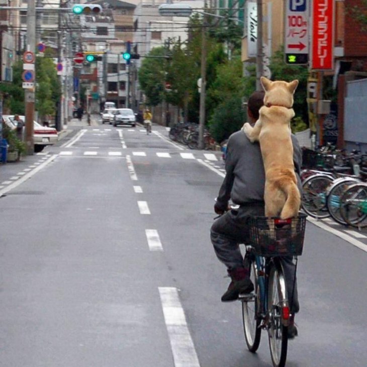 Прикольные фотографии - воскресный выпуск 