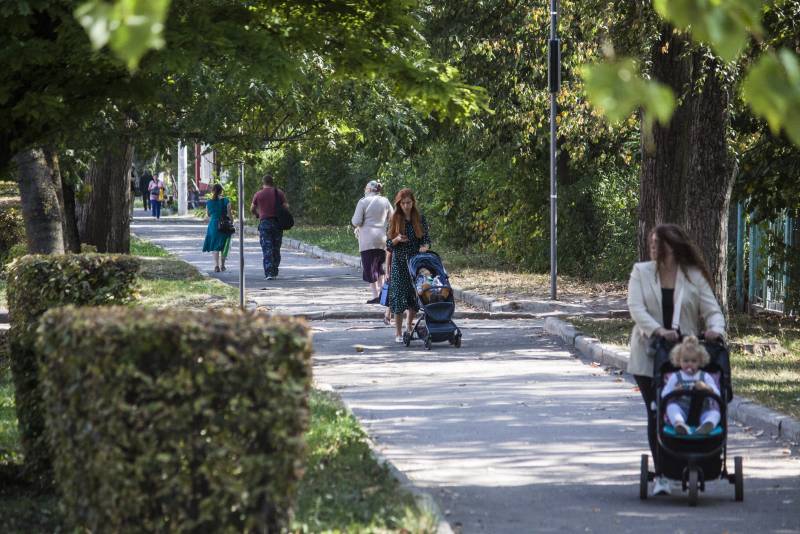 Записки Колорадского Таракана. Кто свинячит, тот не убирает? украина