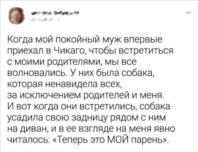 20+ историй про знакомство с родителями, которые грех не экранизировать