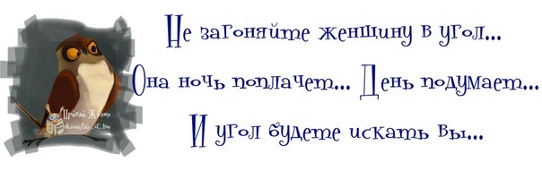 Позитивные картинки с прикольными фразками Позитивные картинки с прикольными фразками