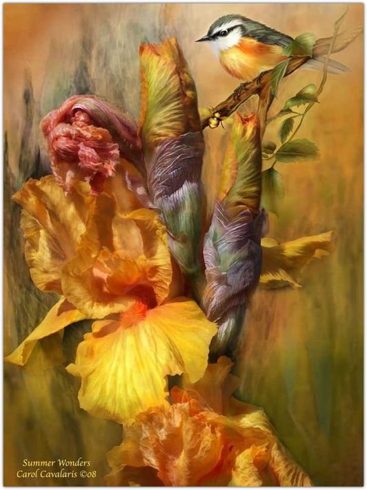 �������� �������� ����� ���������