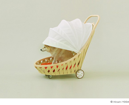 Городские квартиры с террасой