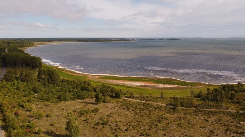 Прогулка по осеннему Хийумаа Прибалтика,тревел-фото,Эстония