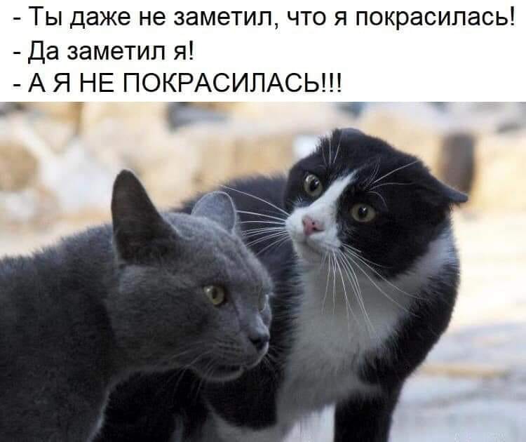 Двойной удар - это когда на грабли еще и нагадили турникеты, туалетную, своего, домой, бумагу, только, такой, Проблема, любом, положенииМоя, детские, опоры, очень, точку, любит, пересматривать, бабушка, догляделито, шепча, падлюка