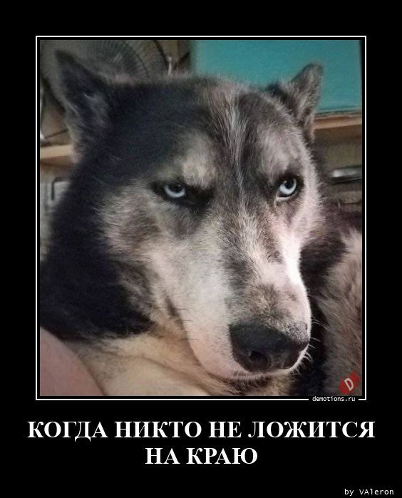 Демотиваторы для всех: «Ну и какая же сегодня погода?» 