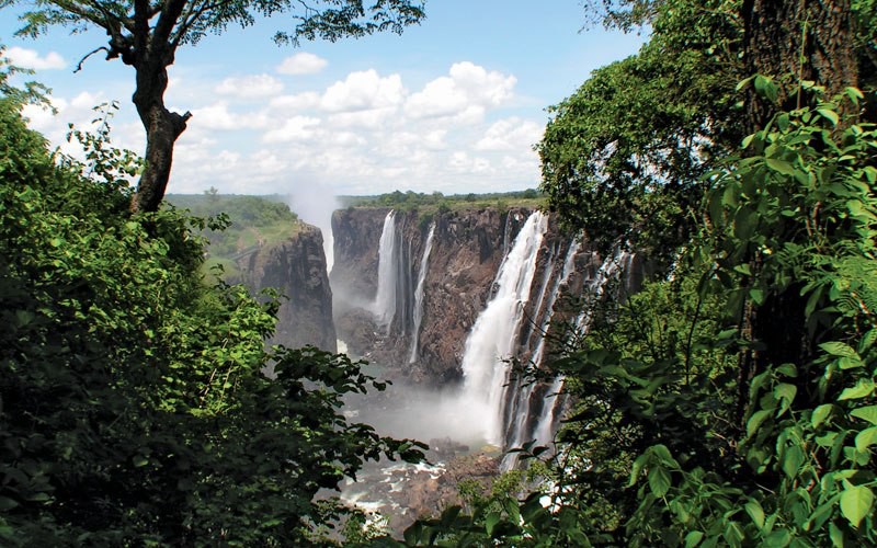 Трансграничный заповедник Окавонго-Замбези   интересное, мир, национальный парк