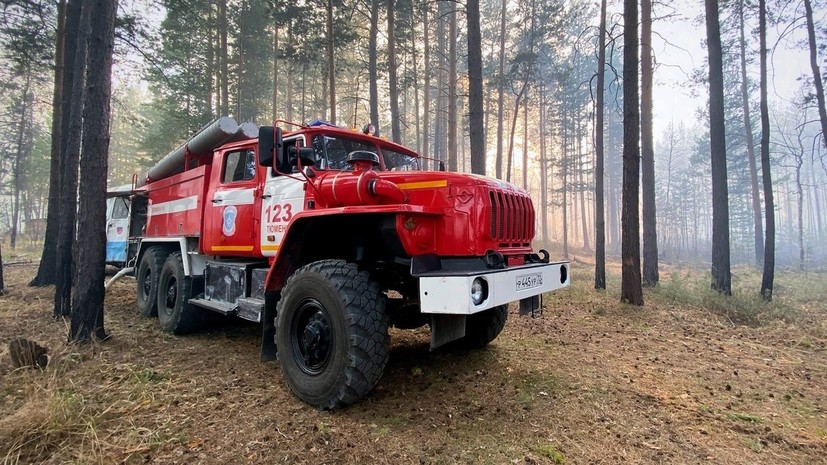 В России за сутки потушили 124 лесных пожаров