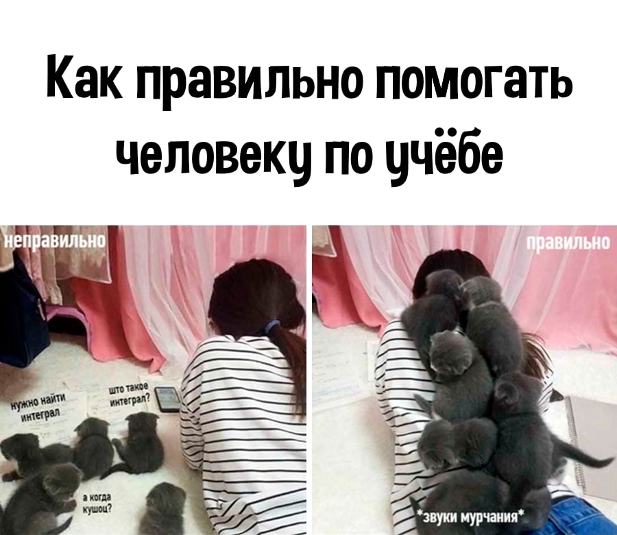 Подборка анекдотов и шуток в картинках Подборка анекдотов и шуток в картинках