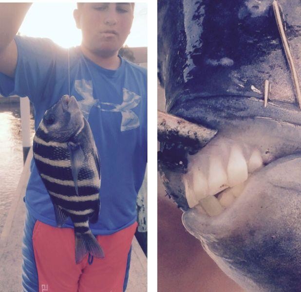 Еноты и не только.. Фото-приколы! Смешные прикольные картинки, фото приколы