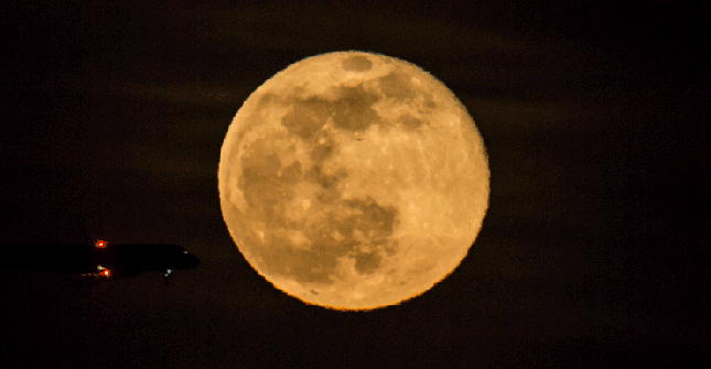 Подборка смешных и классных гифок для позитива Подборка смешных и классных гифок для позитива