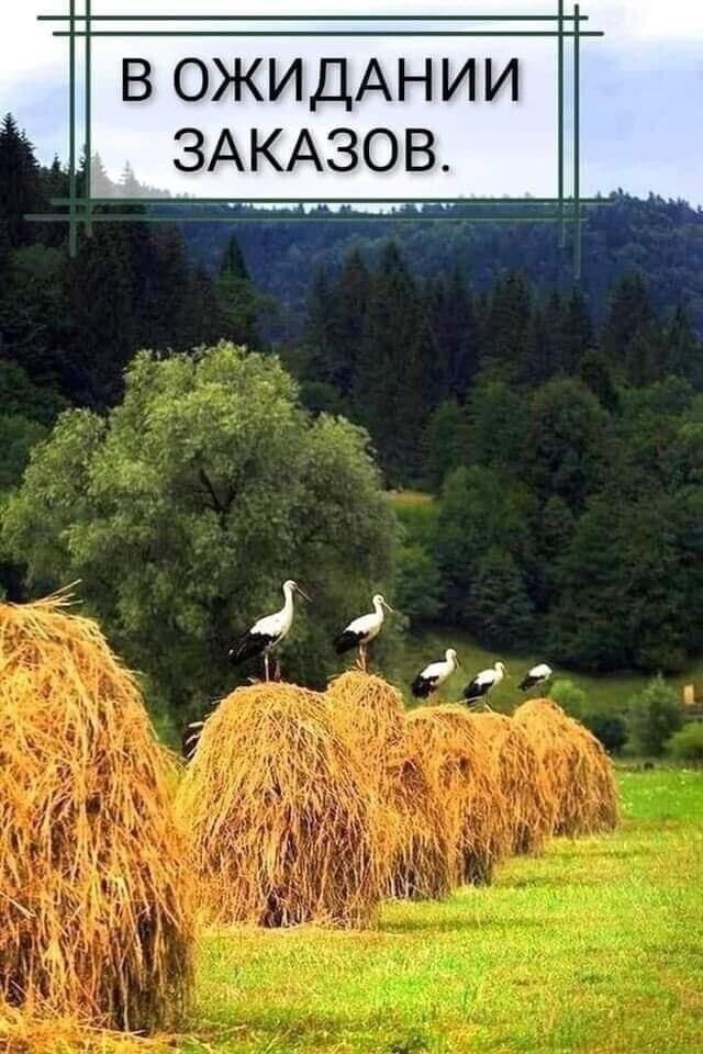 - В спортзал по понедельникам не хожу.  - А почему?... Весёлые,прикольные и забавные фотки и картинки,А так же анекдоты и приятное общение