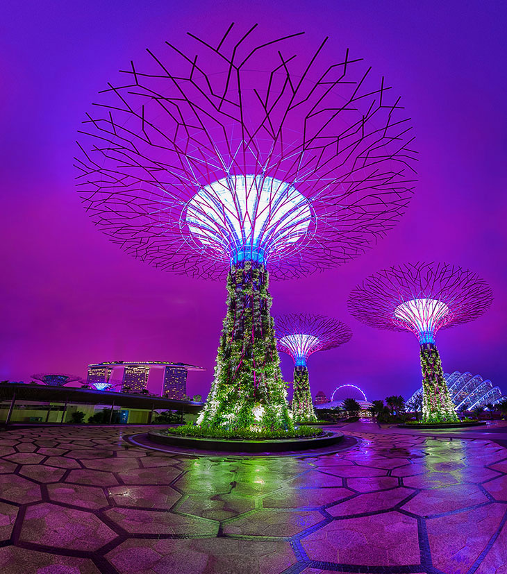 Gardens by the Bay: футуристические прибрежные сады в Сигнапуре