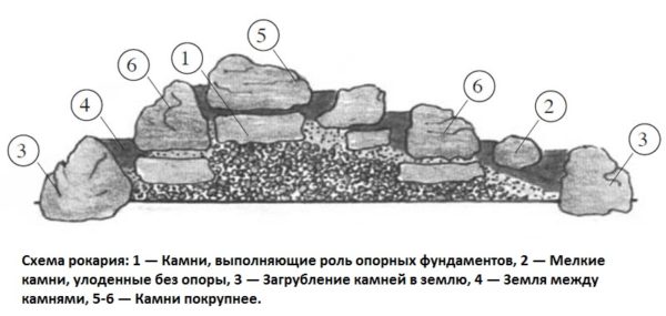 схема рокария