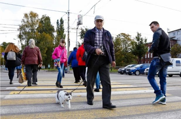 Картинки по запросу "leash"