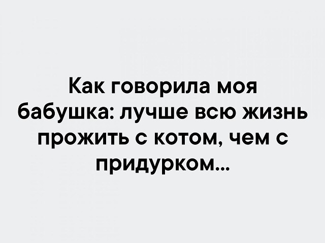 Мы живем в эпоху великих орфографических открытий Мы живем в эпоху великих орфографических открытий анекдоты,демотиваторы,приколы,стихи,юмор