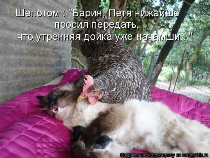Мысли вслух :)