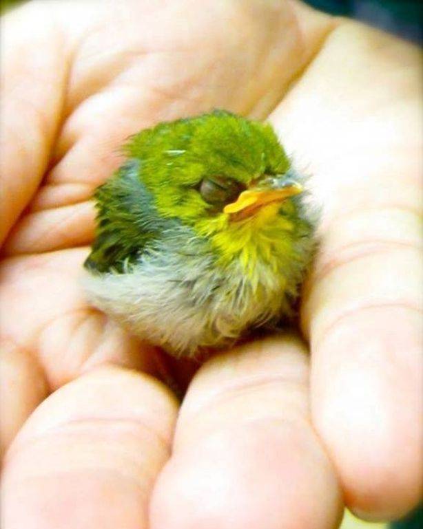 Подборка прикольных картинок  приколы,смешные картинки,юмор