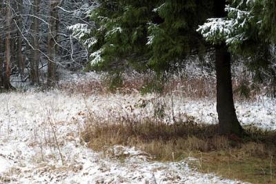 21 октября — Трифон и Пелагея