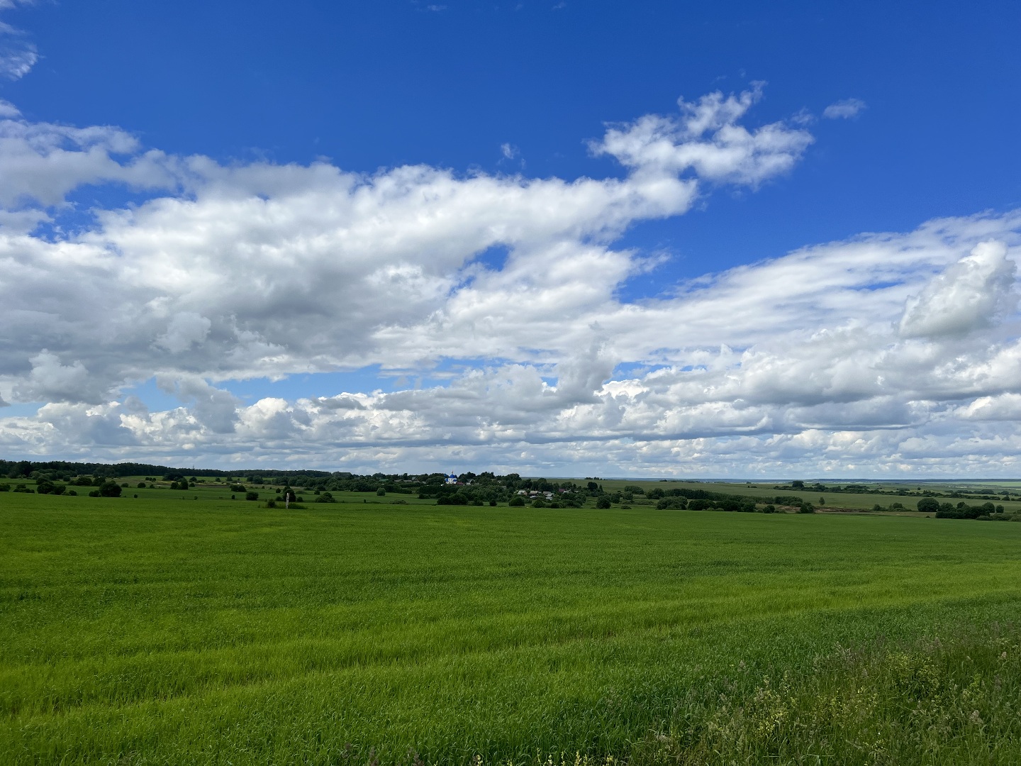 Владимирская область, село Городищи