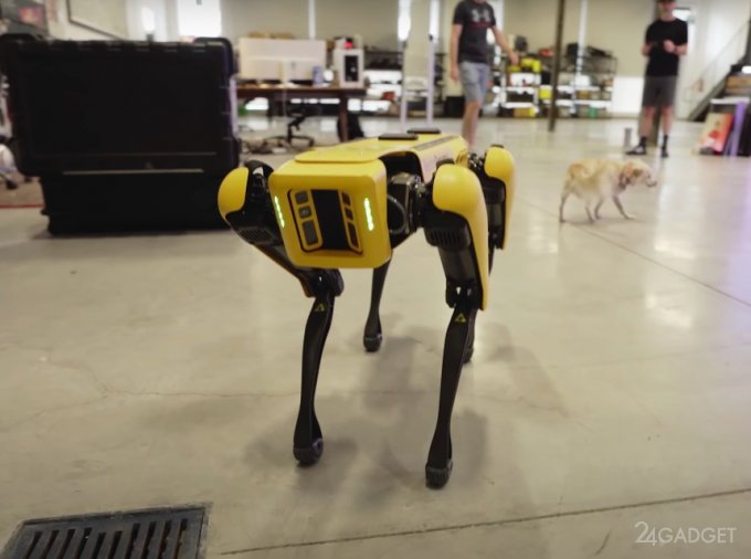 Появилось первое видео распаковки и тестирования робота-собаки Spot