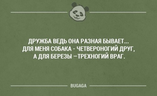 Забавные высказывания и мысли. Часть 15 (20 шт)