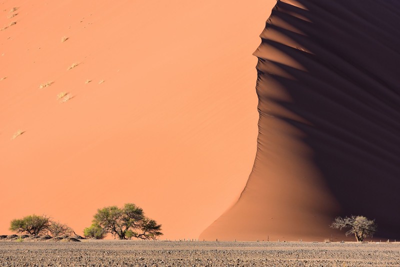 Пустыня Намиб без фотошопа, природа, удивительные фото, человек