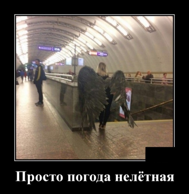 Подборка позитивных и смешных пятничных демотиваторов для поднятия настроения