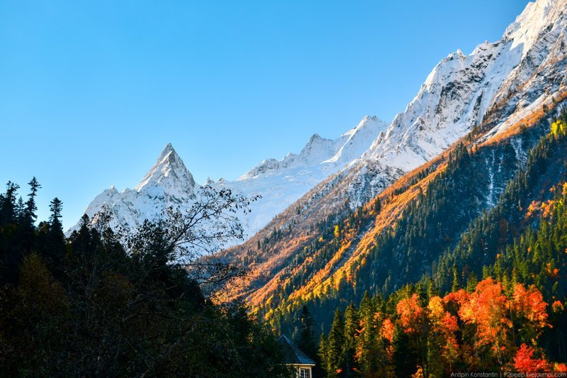 Домбай. Что не так с курортами Северного Кавказа путешествия, факты, фото