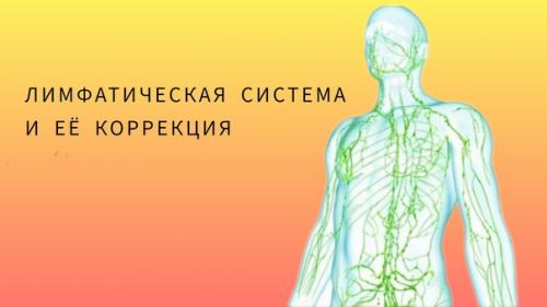 Лимфатическая система: путь очищения и защиты организма.