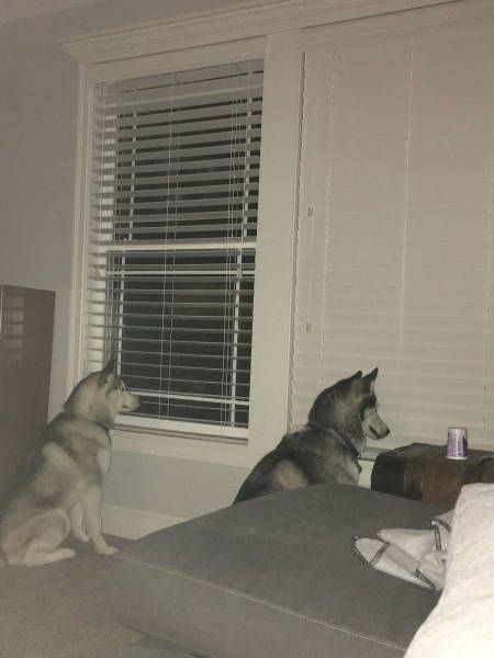 Подборка картинок. Дневной выпуск (51 фото)