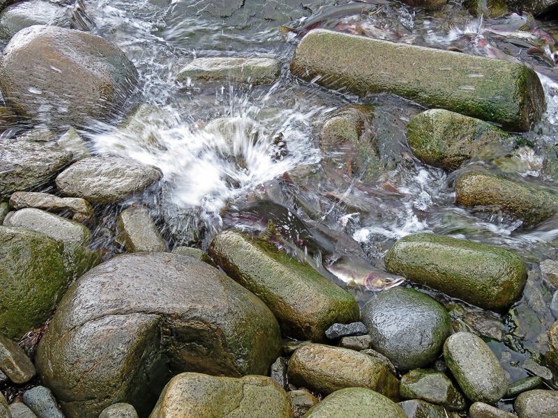 Кунашир: мыс Столбчатый Кунашир: мыс Столбчатый