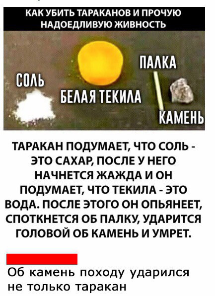 Иногда кажется, что женщины с картин Рубенса вот-вот убегут обратно в бухгалтерию анекдоты