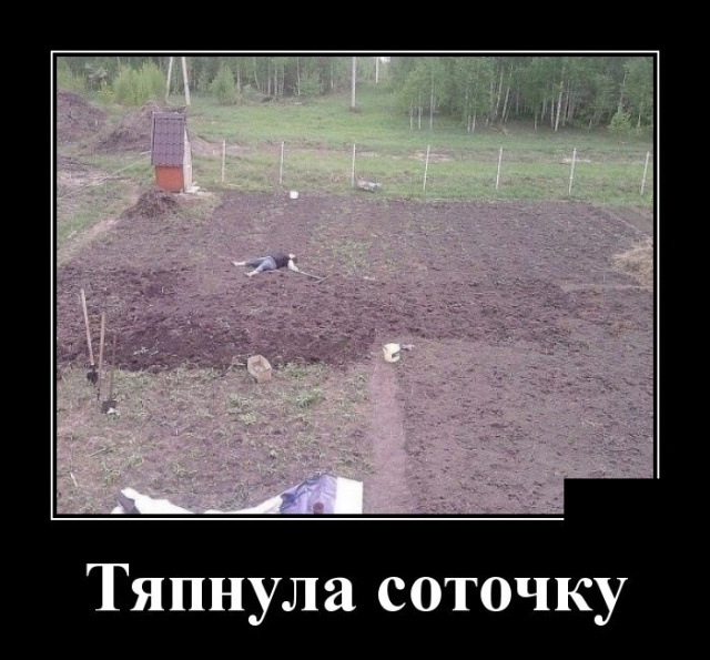 - Что означают пятна на Солнце? - Окна пора мыть! - Что означают пятна на Солнце? - Окна пора мыть! анекдоты,демотиваторы,приколы