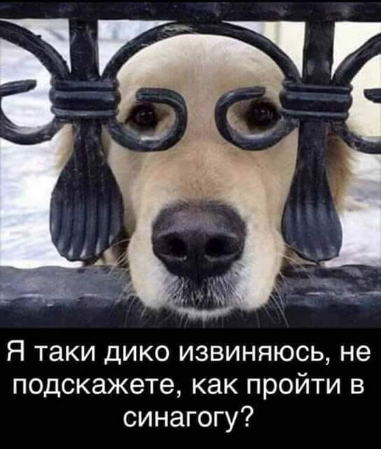 Отец, рассказывавший сказку сыну, так сильно хотел спать, что колобка ещё до встречи с зайцем сбила фура анекдоты