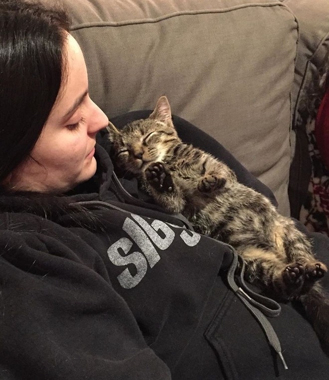 Котенок спит