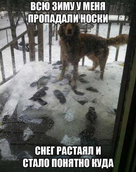 Веселый юмор Веселый юмор